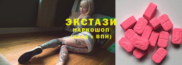 стаф Зерноград