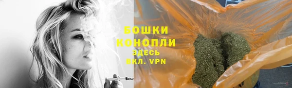 стаф Зерноград