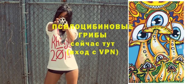 стаф Зерноград